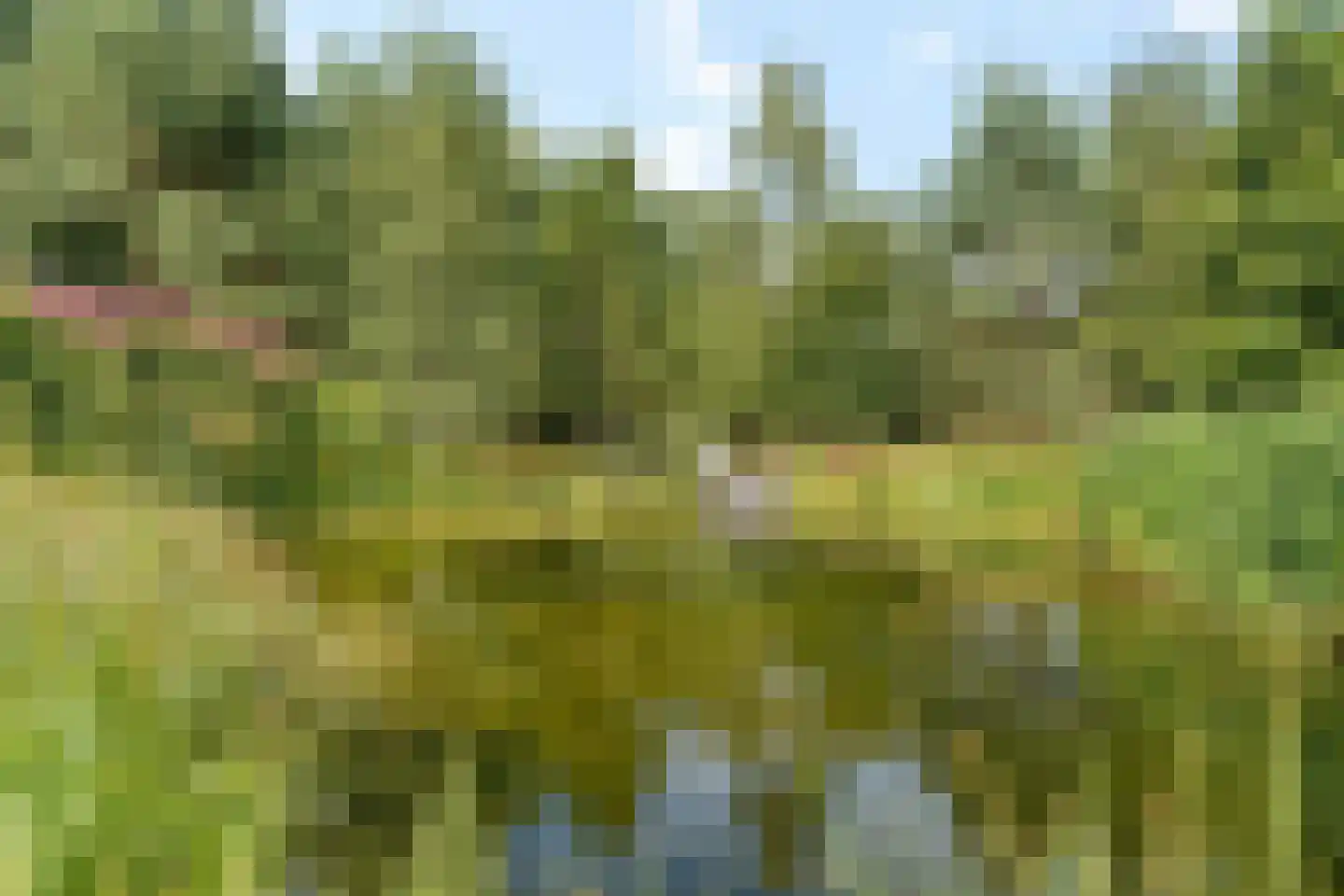 Heidepolweg 4 Vorden thumbnail 8