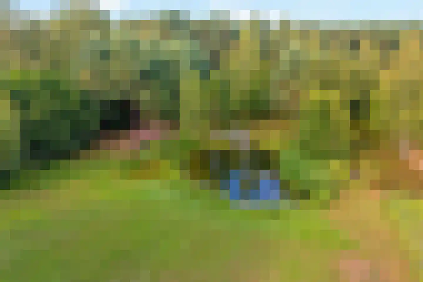 Heidepolweg 4 Vorden thumbnail 9