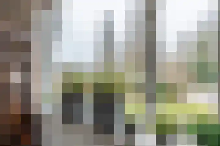 Heideslag 3 Nieuwleusen thumbnail 13