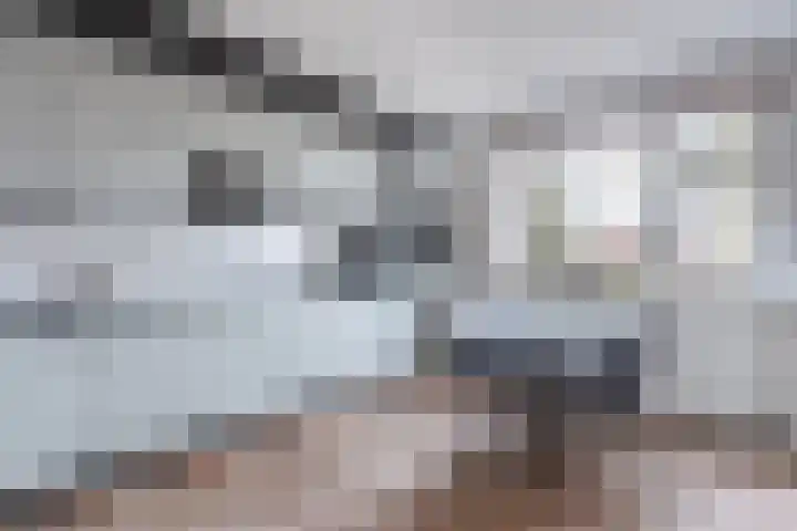 Heideslag 3 Nieuwleusen thumbnail 15