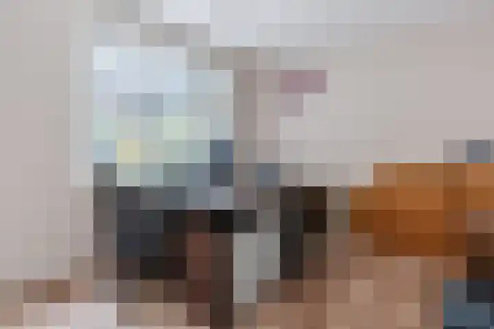 Heideslag 3 Nieuwleusen thumbnail 19