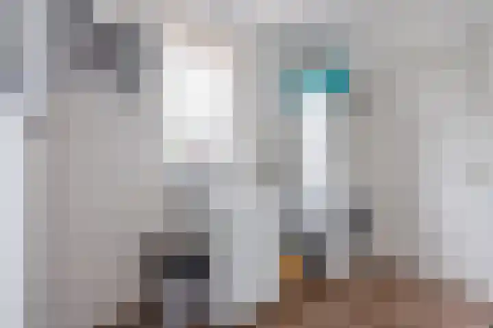 Heideslag 3 Nieuwleusen thumbnail 23