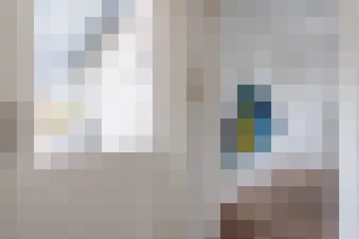 Heideslag 3 Nieuwleusen thumbnail 24