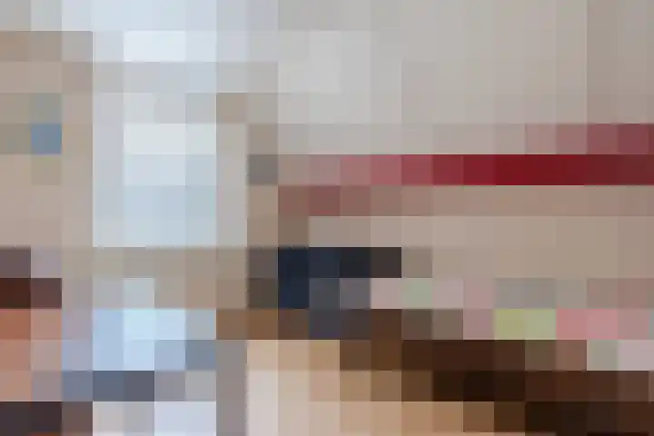 Heideslag 3 Nieuwleusen thumbnail 31