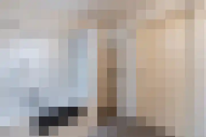 Heideslag 3 Nieuwleusen thumbnail 37