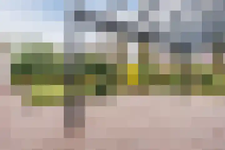 Heideslag 3 Nieuwleusen thumbnail 39