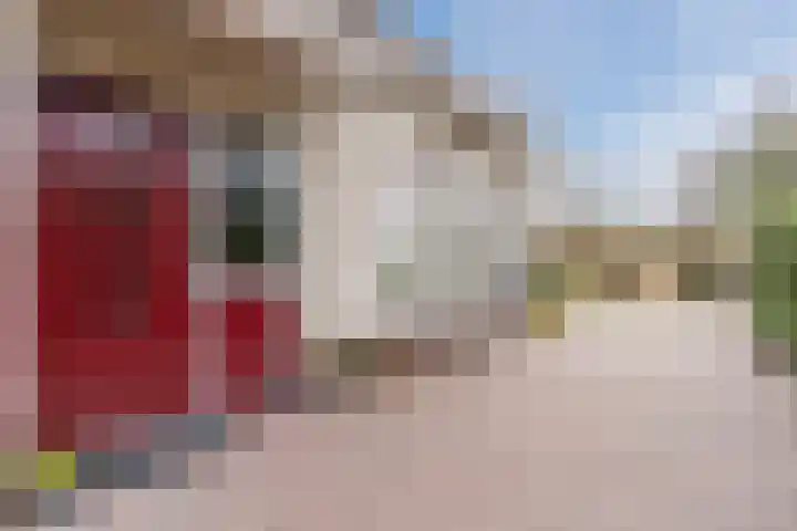 Heideslag 3 Nieuwleusen thumbnail 4