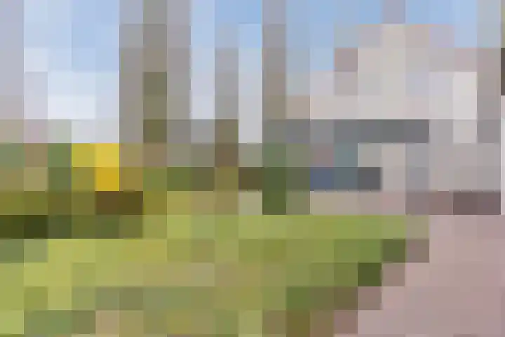 Heideslag 3 Nieuwleusen thumbnail 40