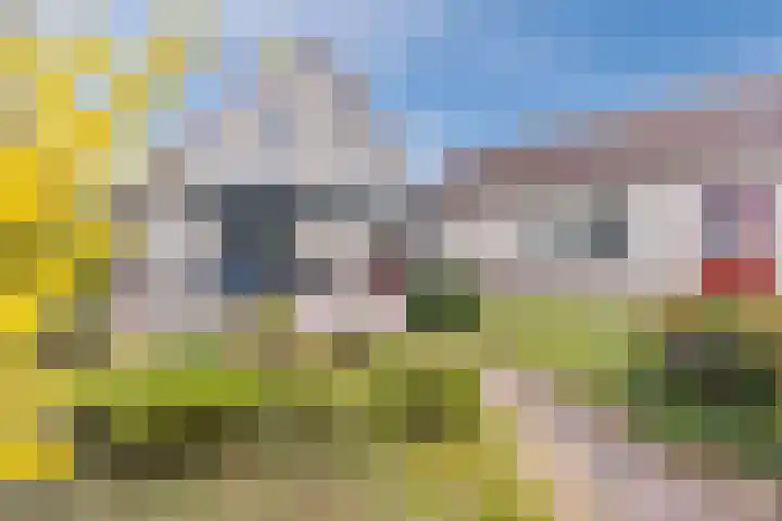 Heideslag 3 Nieuwleusen thumbnail 41