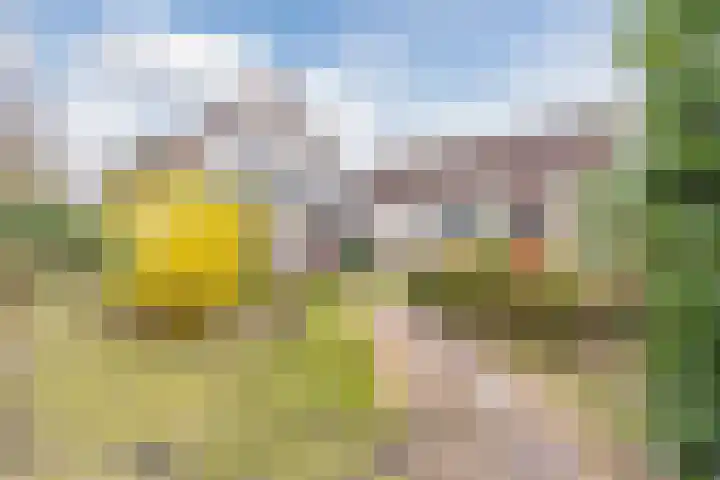 Heideslag 3 Nieuwleusen thumbnail 42