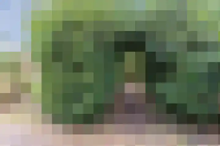 Heideslag 3 Nieuwleusen thumbnail 43