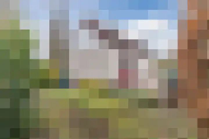 Heideslag 3 Nieuwleusen thumbnail 45