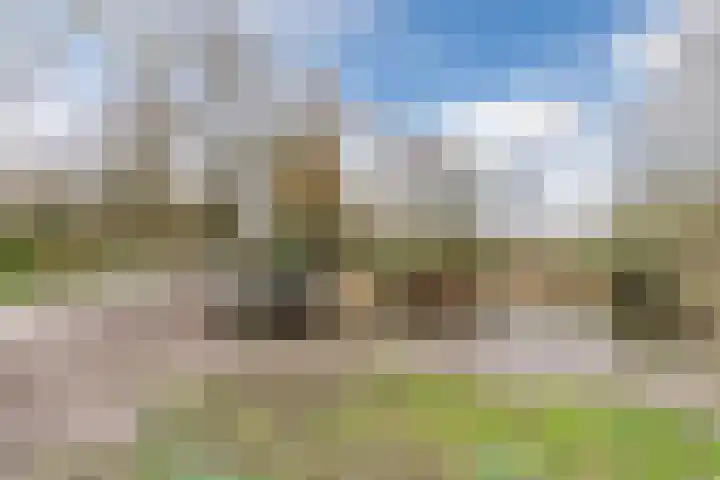 Heideslag 3 Nieuwleusen thumbnail 51