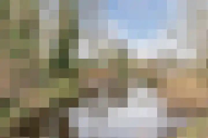 Heideslag 3 Nieuwleusen thumbnail 52