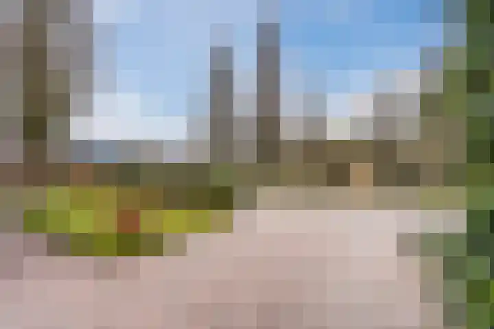 Heideslag 3 Nieuwleusen thumbnail 53