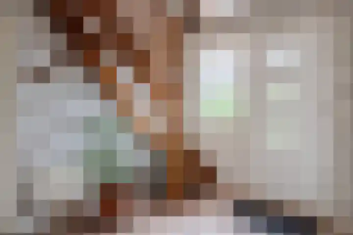 Heideslag 3 Nieuwleusen thumbnail 6