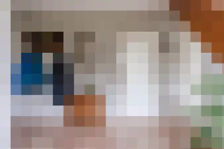Heideslag 3 Nieuwleusen thumbnail 7