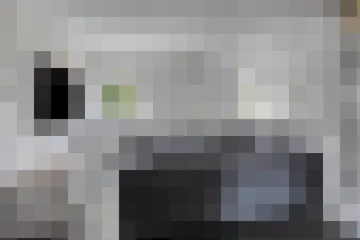 Heidesteeg 3 Roermond thumbnail 9