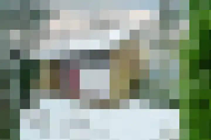 Heidesteinlaan 10 Heelsum thumbnail 30