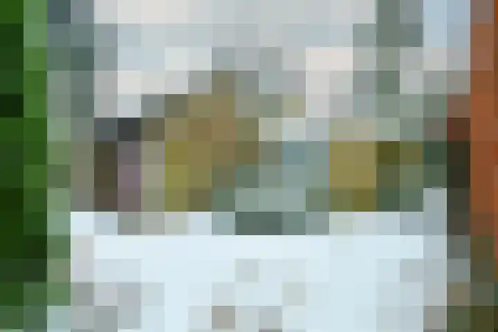 Heidesteinlaan 10 Heelsum thumbnail 31