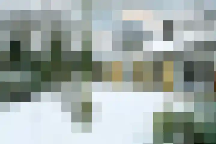 Heidesteinlaan 10 Heelsum thumbnail 32