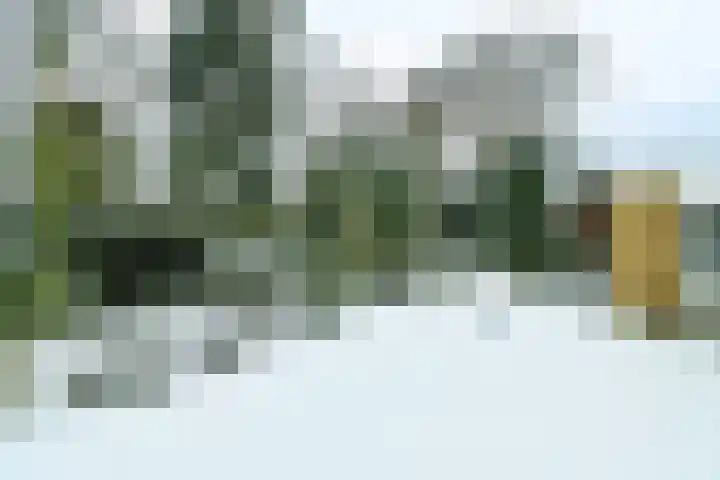 Heidesteinlaan 10 Heelsum thumbnail 34