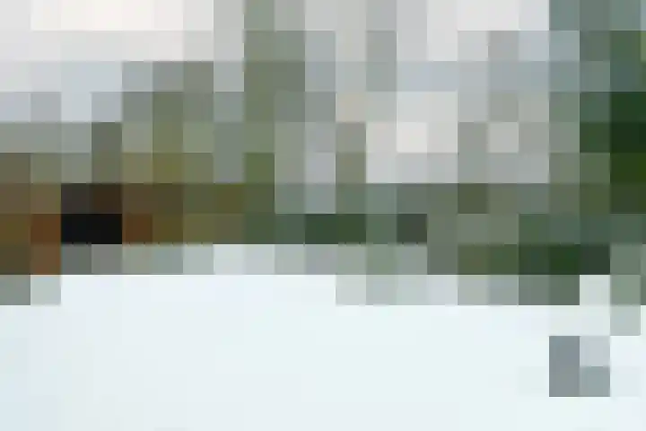 Heidesteinlaan 10 Heelsum thumbnail 35