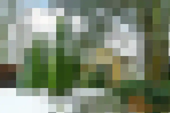 Heidesteinlaan 10 Heelsum thumbnail 39