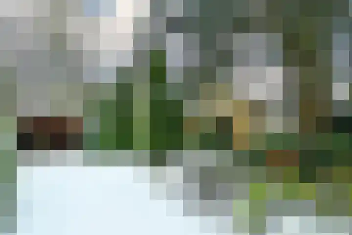 Heidesteinlaan 10 Heelsum thumbnail 42