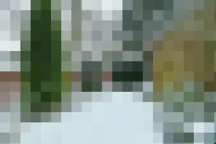 Heidesteinlaan 10 Heelsum thumbnail 45