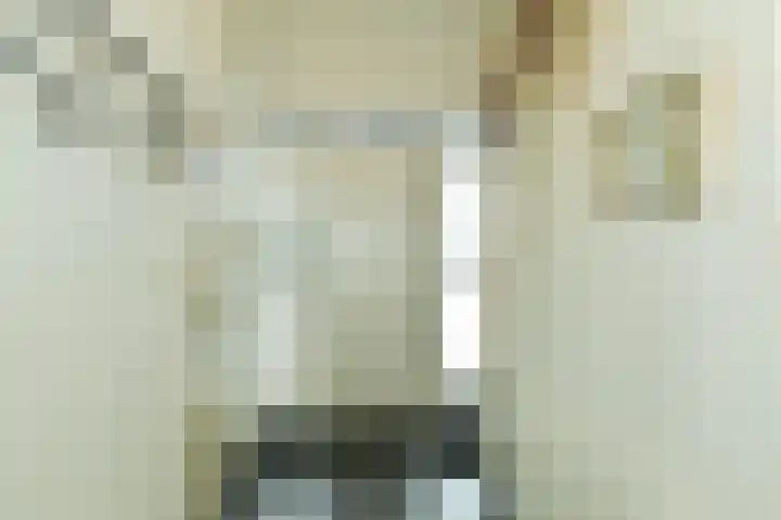 Heidesteinlaan 10 Heelsum thumbnail 6