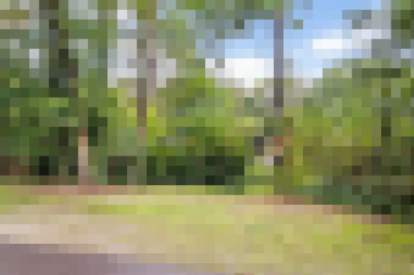 Heidestraat 101 A17 Susteren thumbnail 19