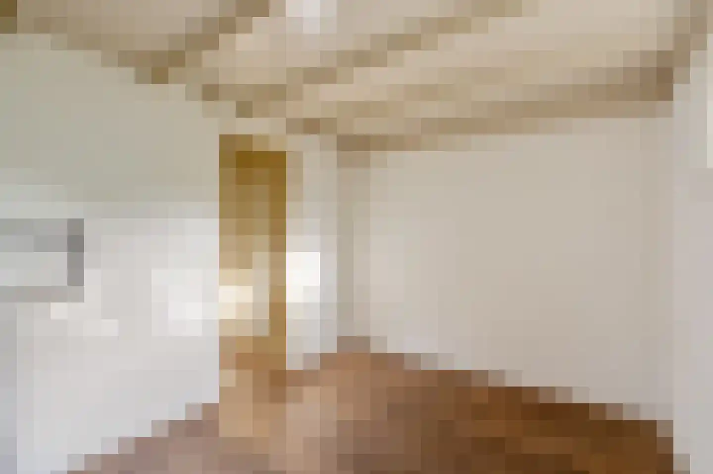 Heidestraat 101 A21 Susteren thumbnail 10