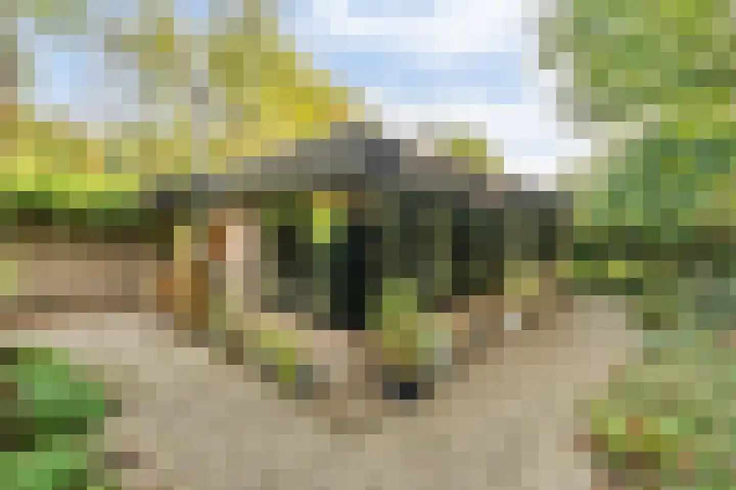 Heidestraat 101 A21 Susteren thumbnail 13