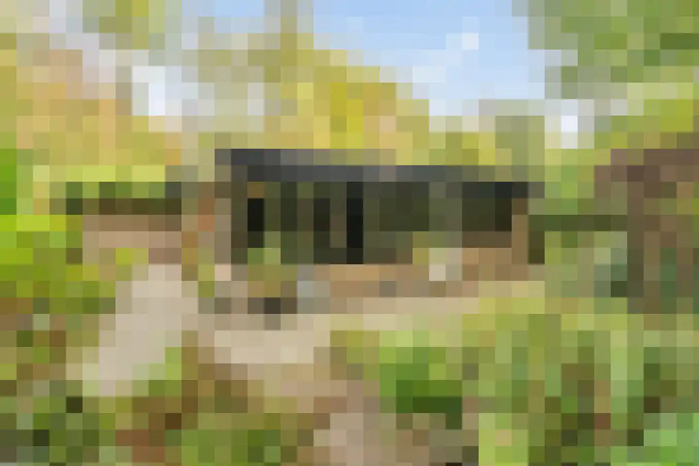 Heidestraat 101 A21 Susteren thumbnail 14