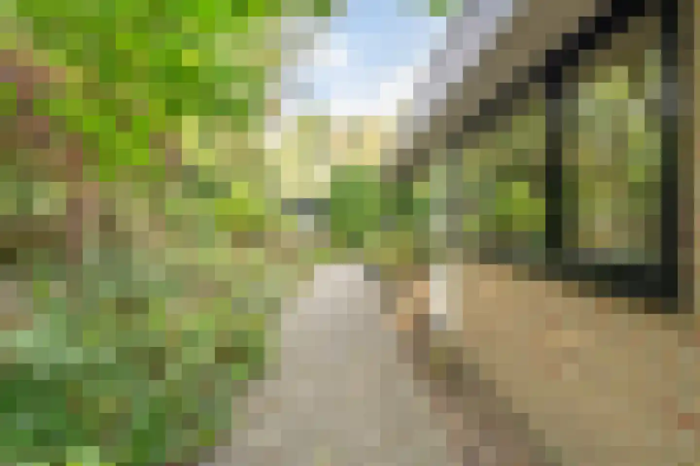 Heidestraat 101 A21 Susteren thumbnail 15