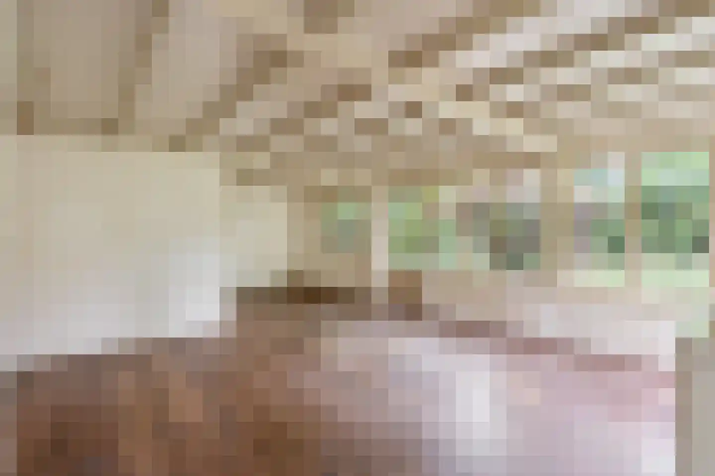 Heidestraat 101 A21 Susteren thumbnail 6