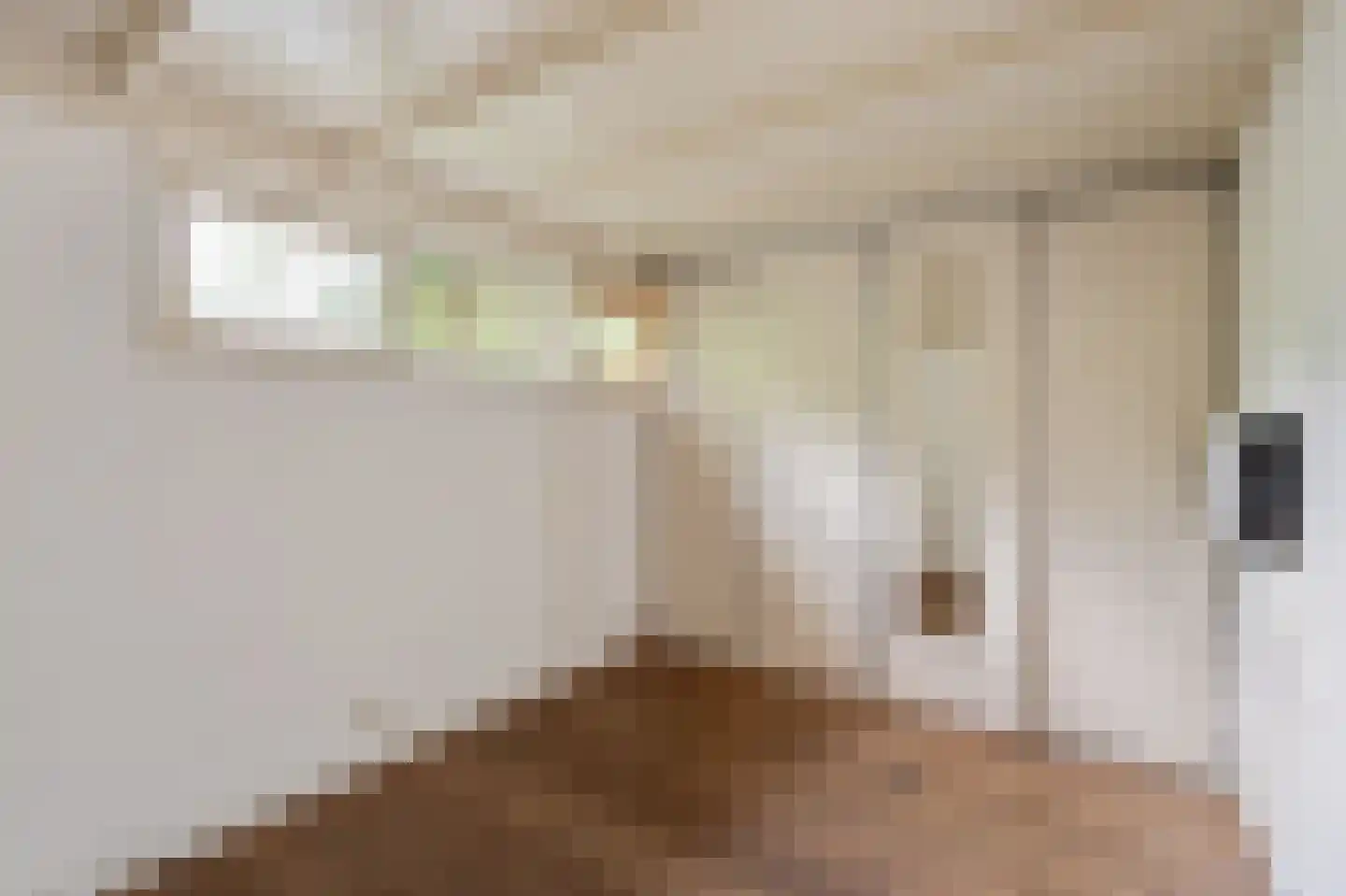 Heidestraat 101 A21 Susteren thumbnail 9
