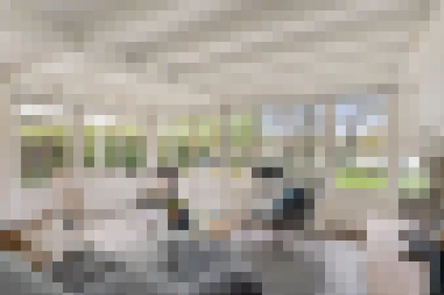Heidestraat 101 A23 Susteren thumbnail 12