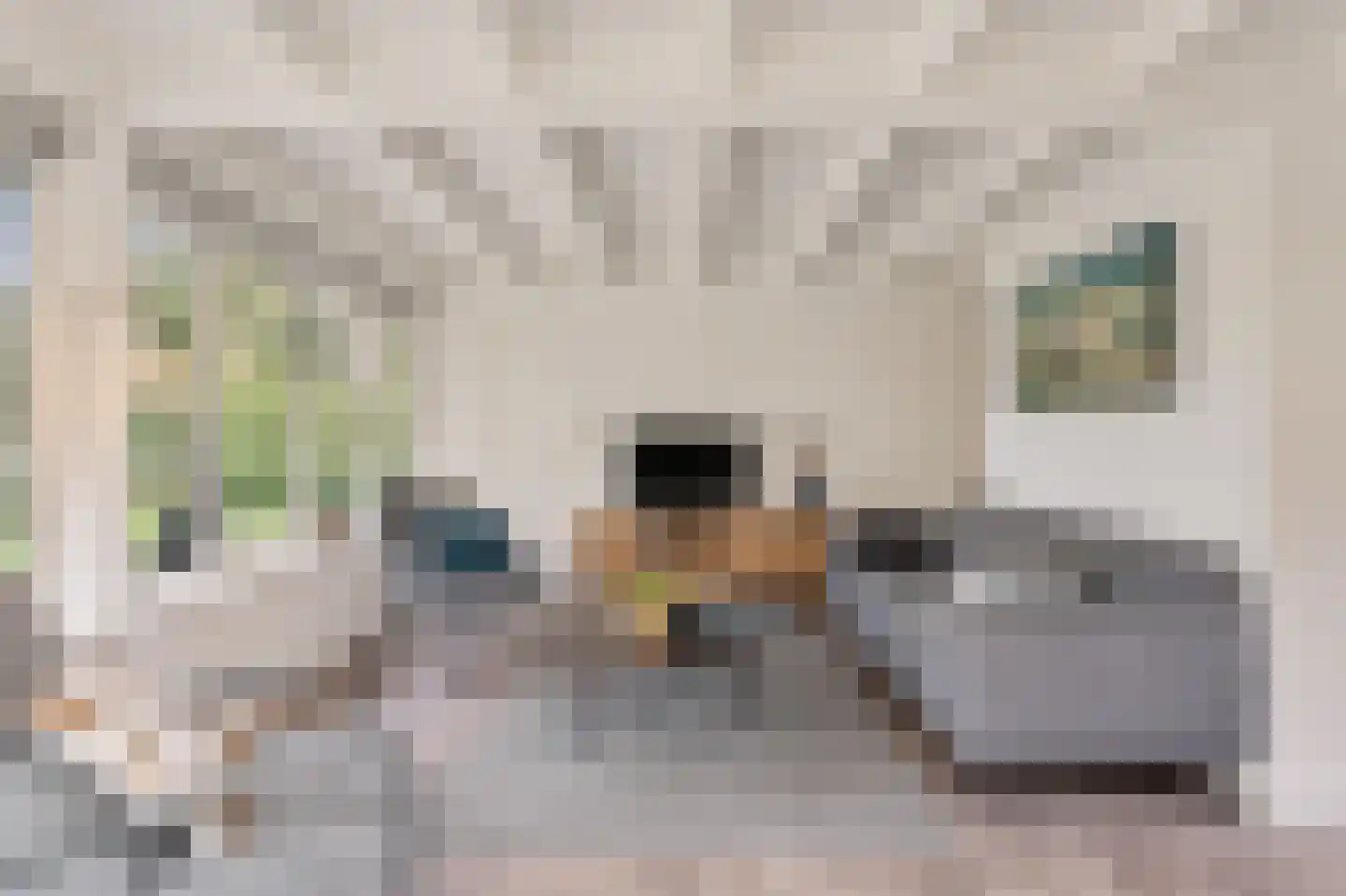 Heidestraat 101 A23 Susteren thumbnail 13
