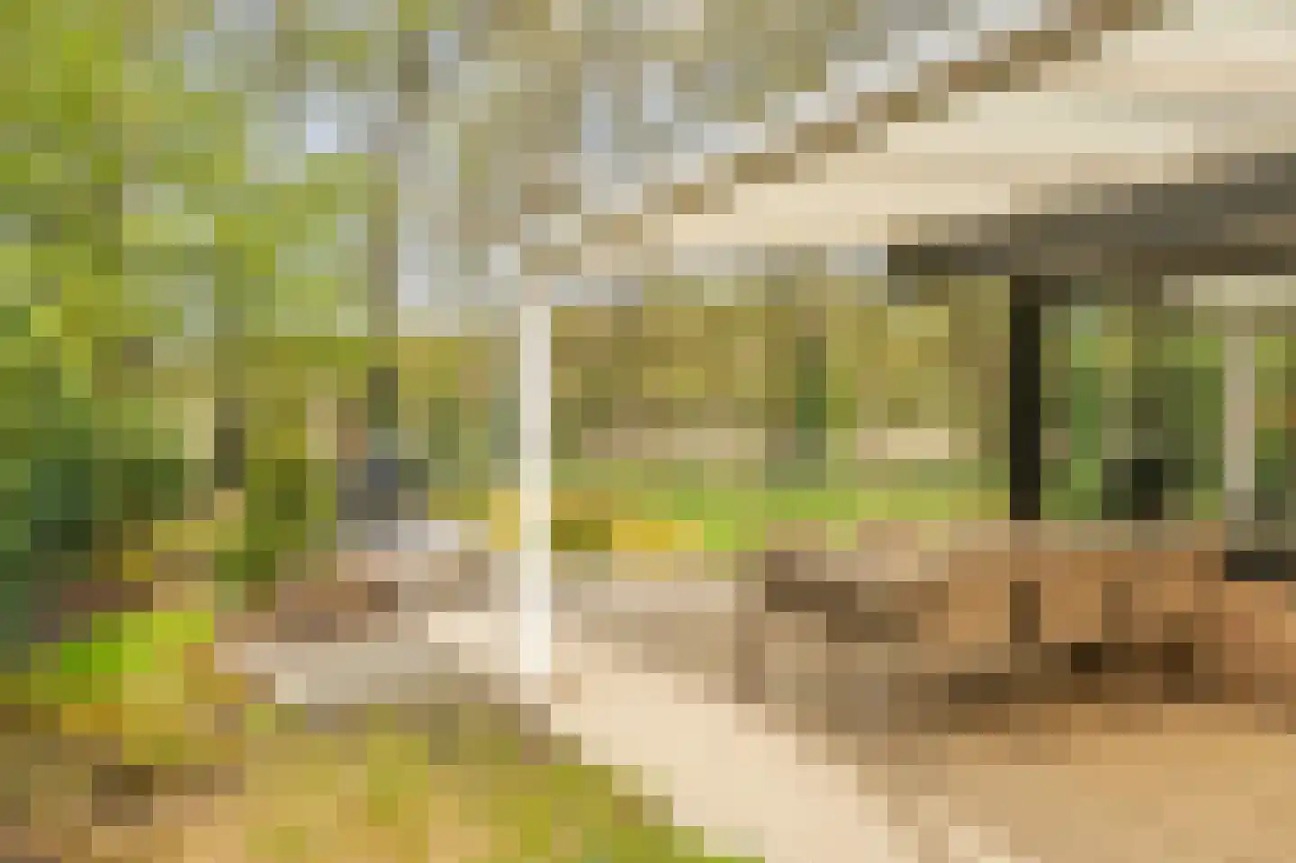 Heidestraat 101 A23 Susteren thumbnail 23