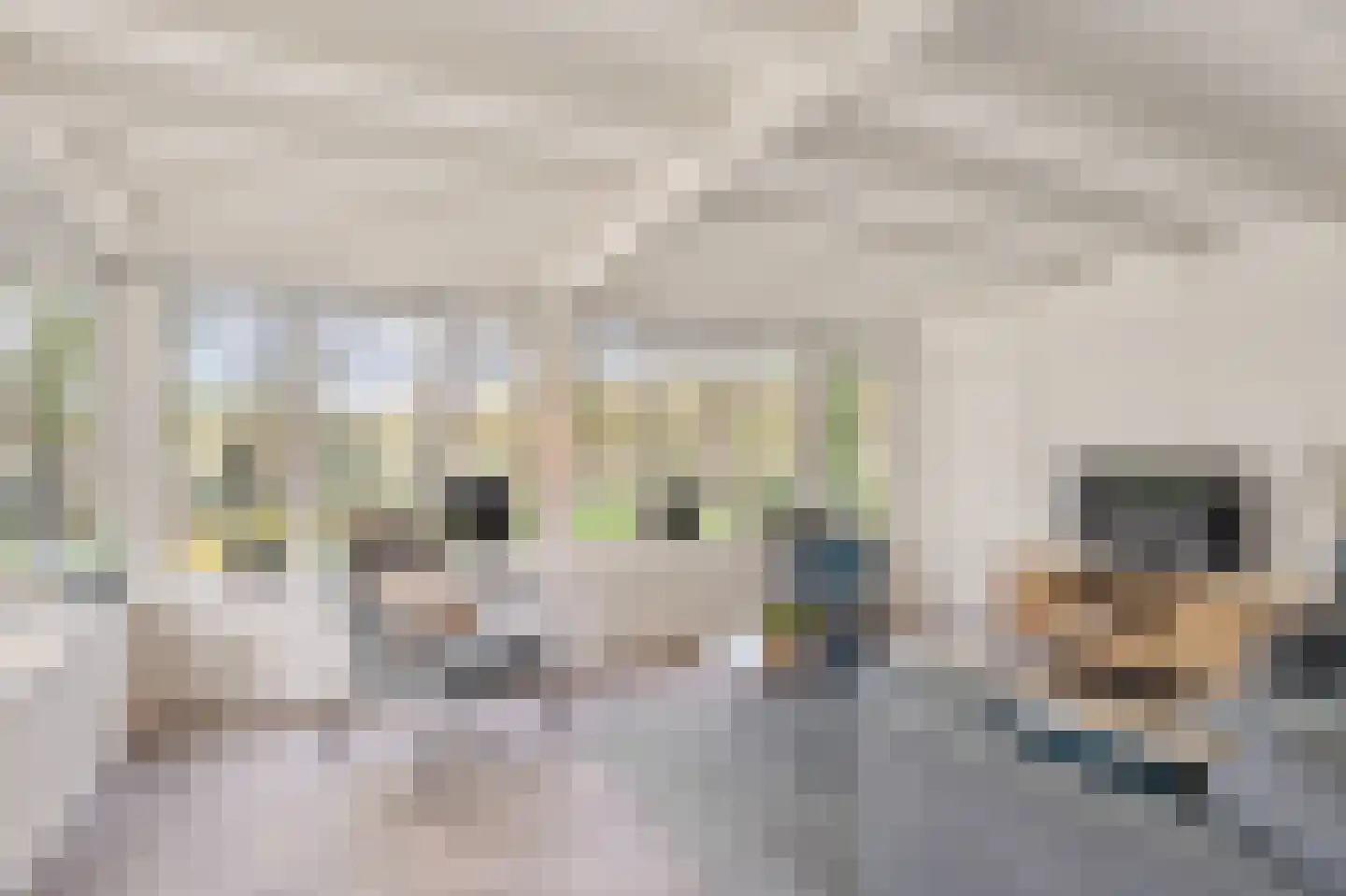 Heidestraat 101 A23 Susteren thumbnail 8