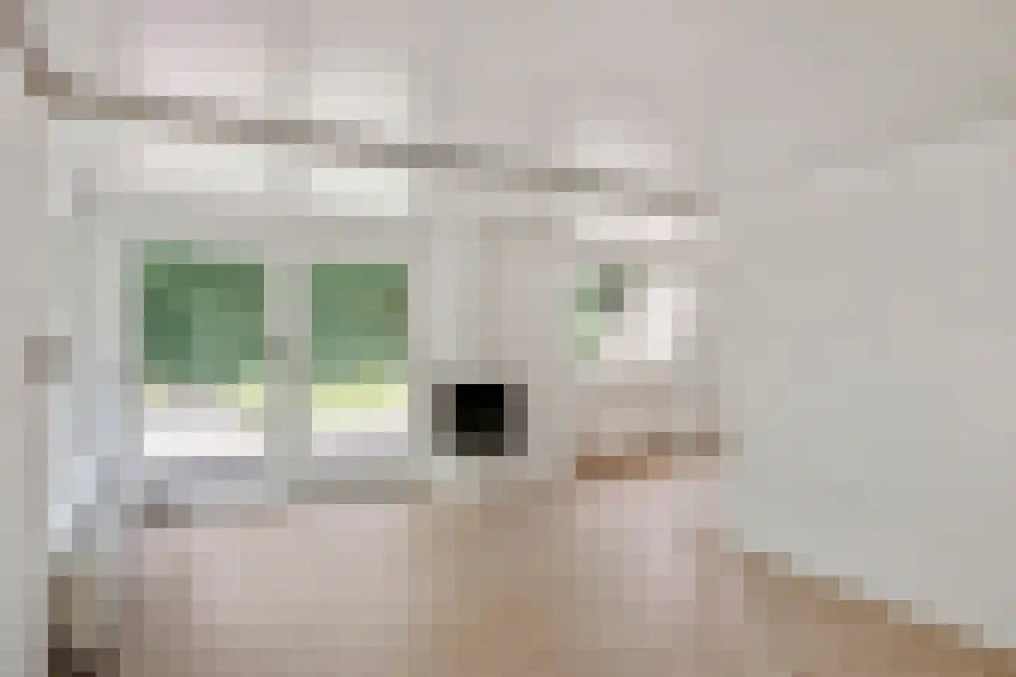 Heidestraat 101 B60 Susteren thumbnail 11
