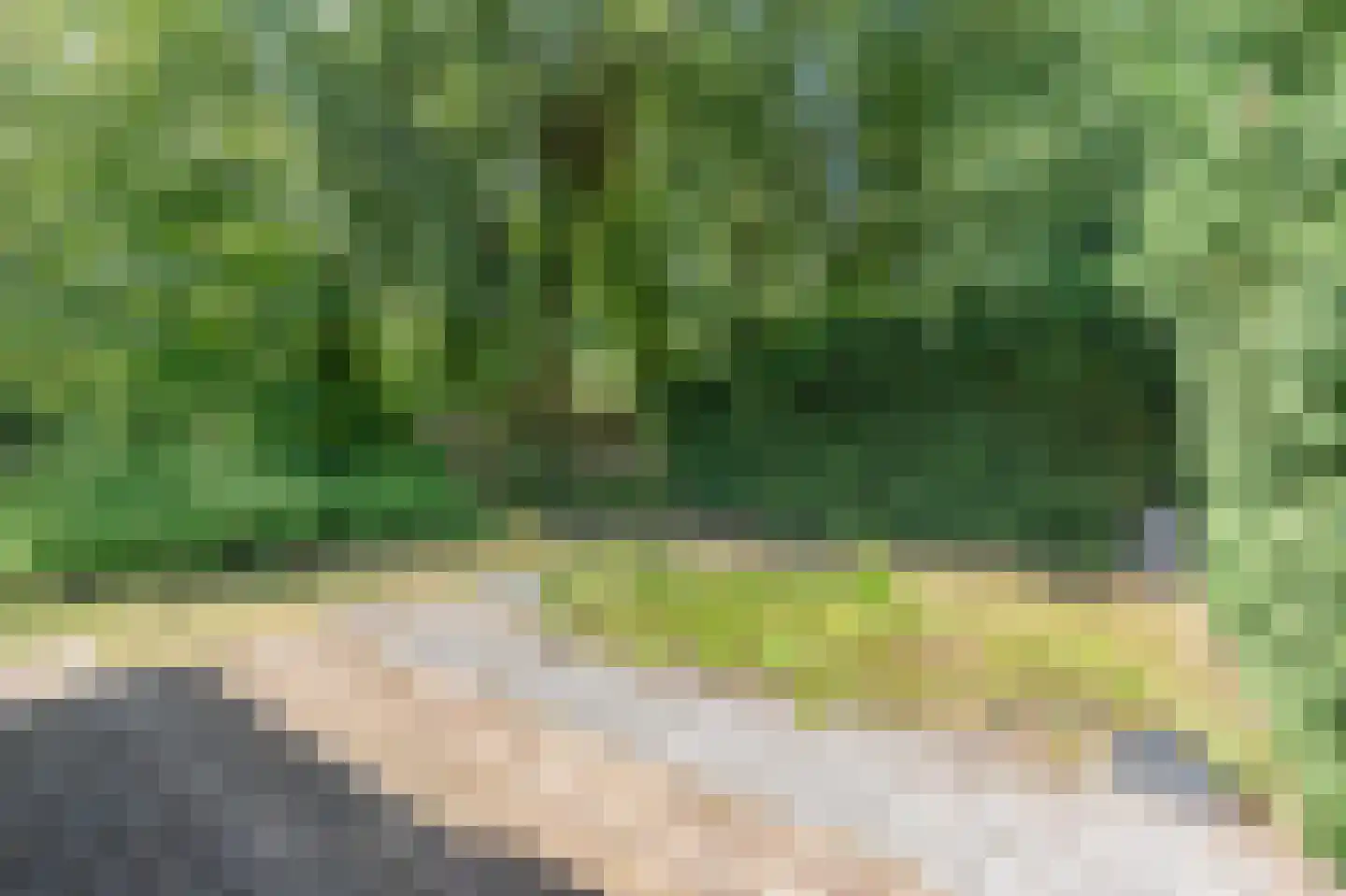 Heidestraat 101 B60 Susteren thumbnail 20