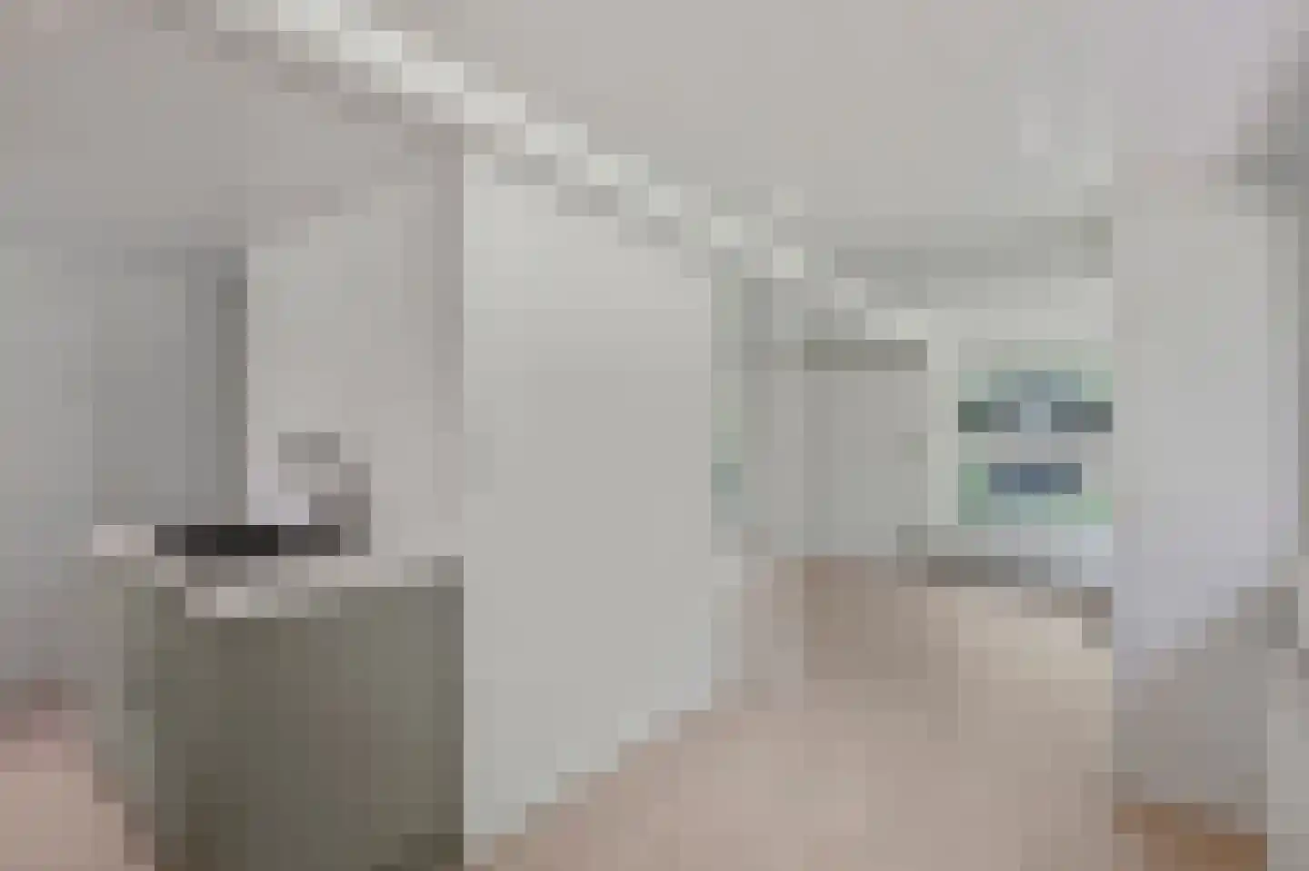 Heidestraat 101 B60 Susteren thumbnail 6