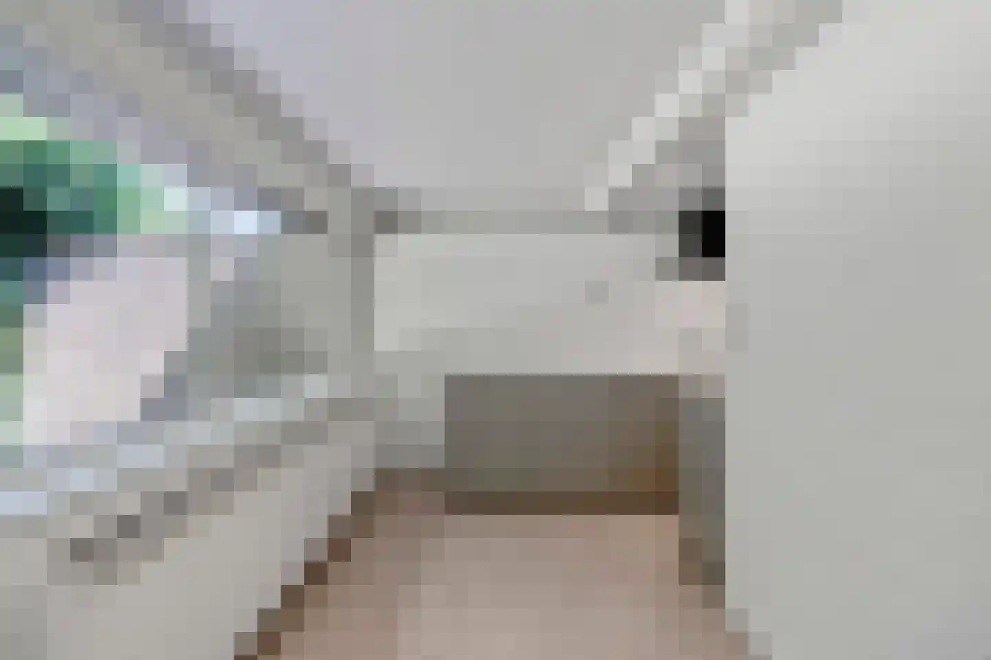 Heidestraat 101 B60 Susteren thumbnail 9