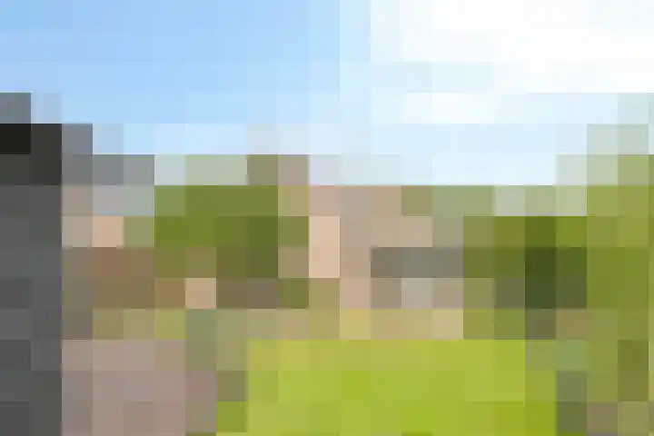 Heidestraat 11 Weiteveen thumbnail 34