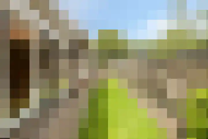 Heidestraat 11 Weiteveen thumbnail 37