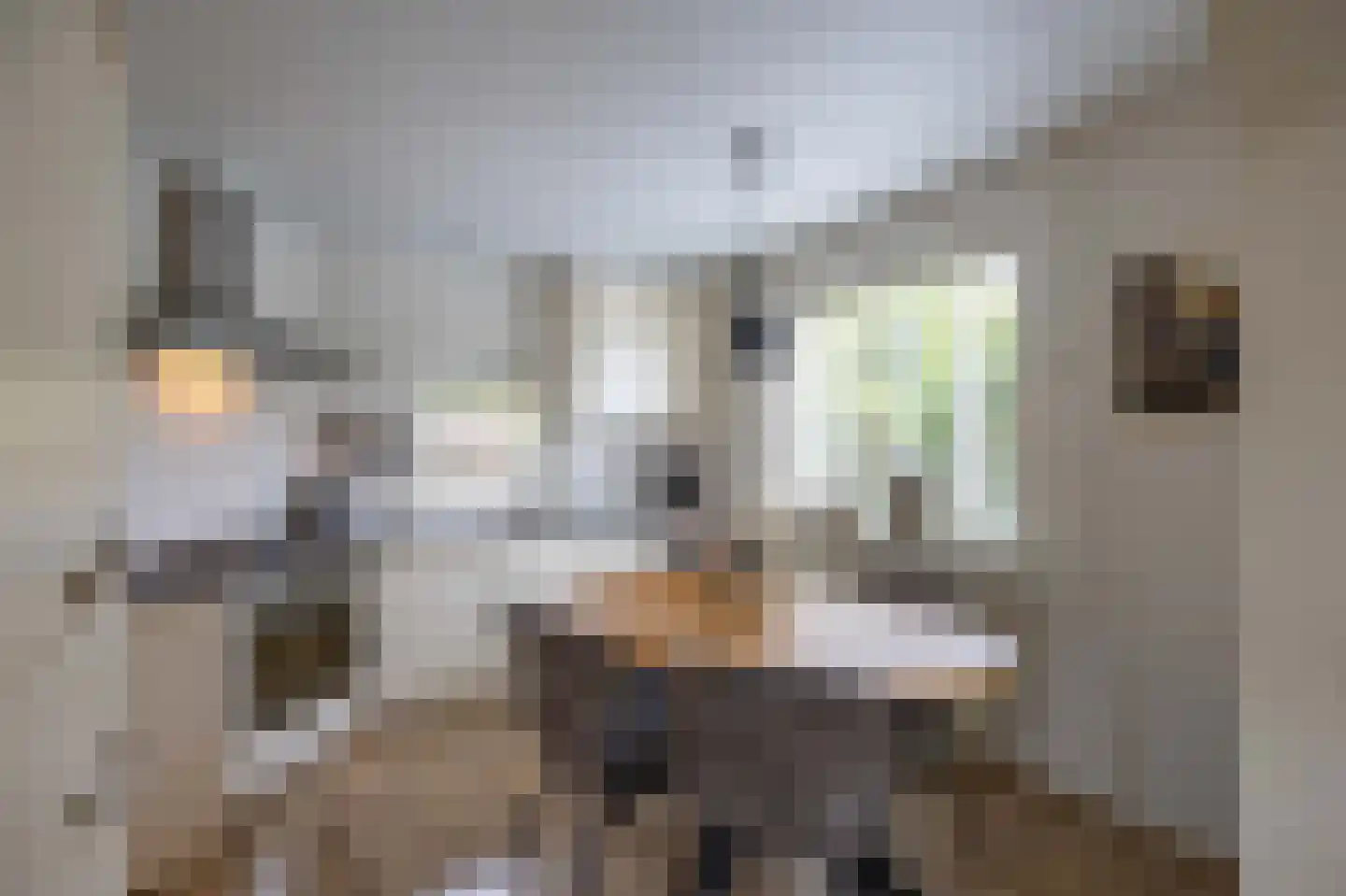 Heidestraat 14 Siebengewald thumbnail 14