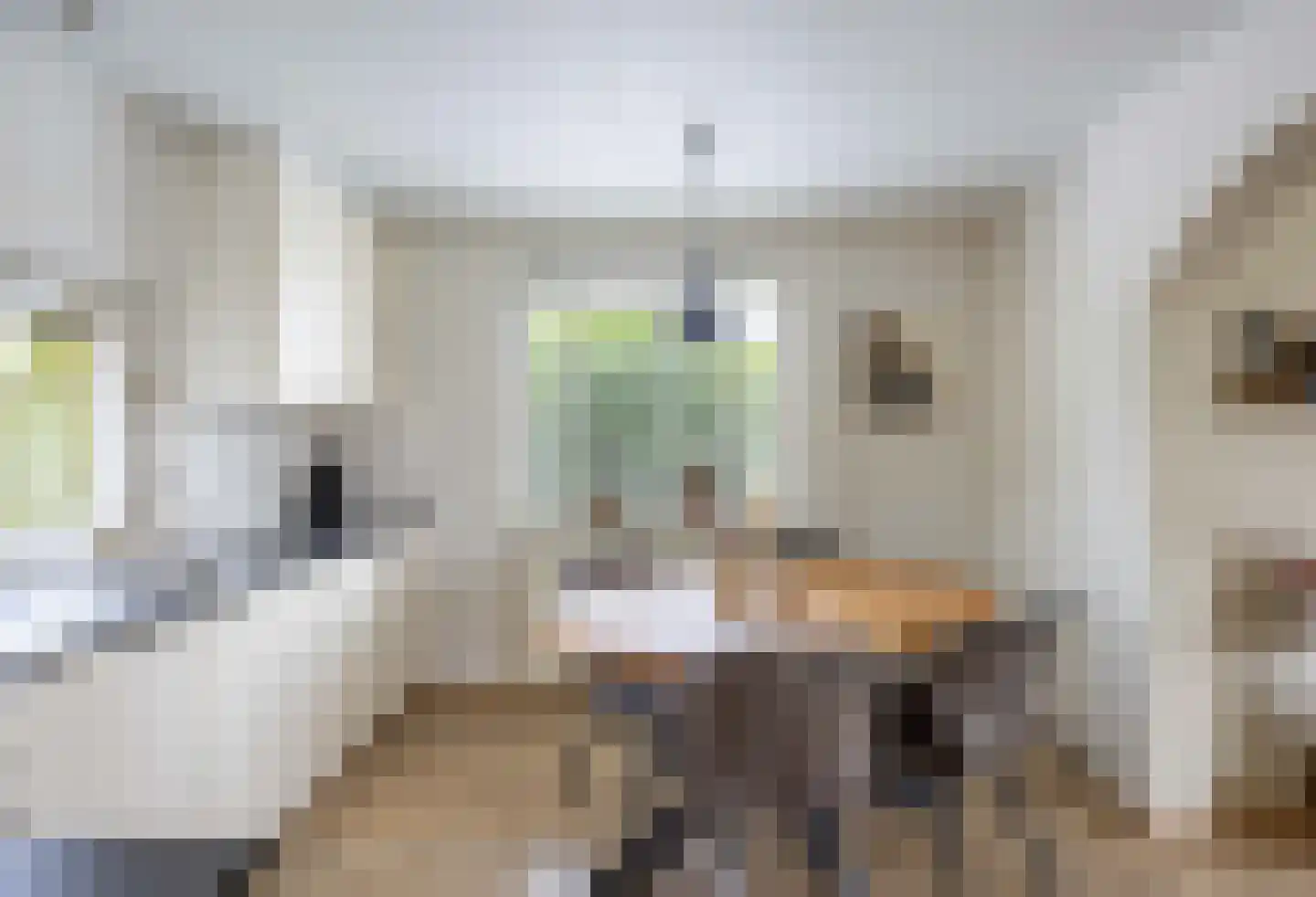Heidestraat 14 Siebengewald thumbnail 15